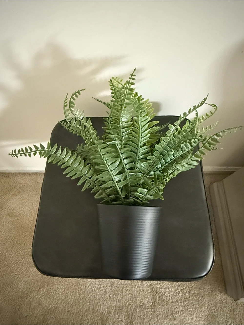 Small Artificial Boston Fern in Black Planter - Green Faux Plant
